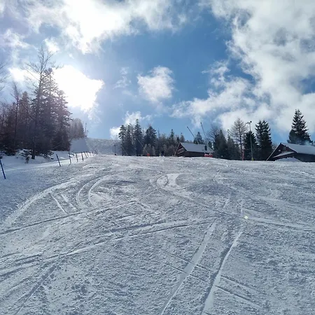 Hala Kamienicka