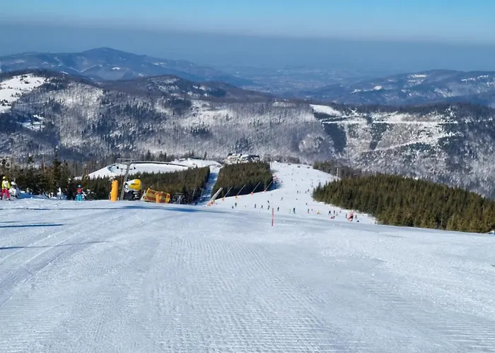 Appartement Hala Kamienicka *