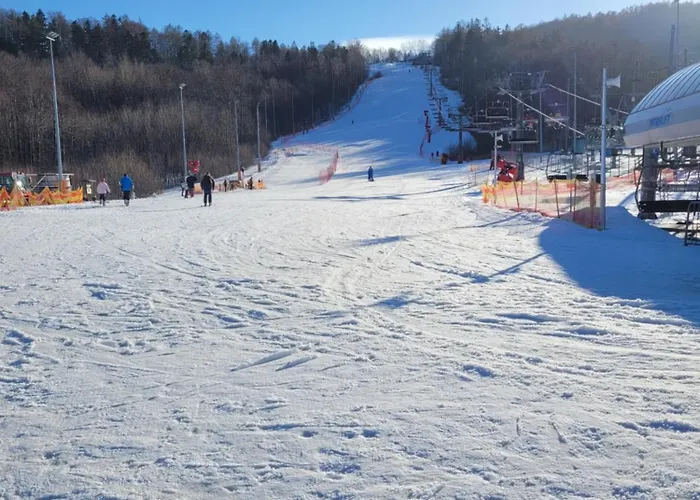 Hala Kamienicka Appartement