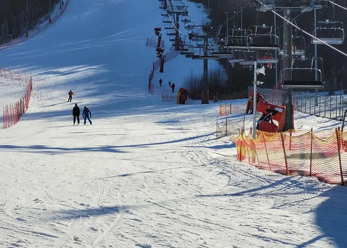 Hala Kamienicka * Bielsko-Biała